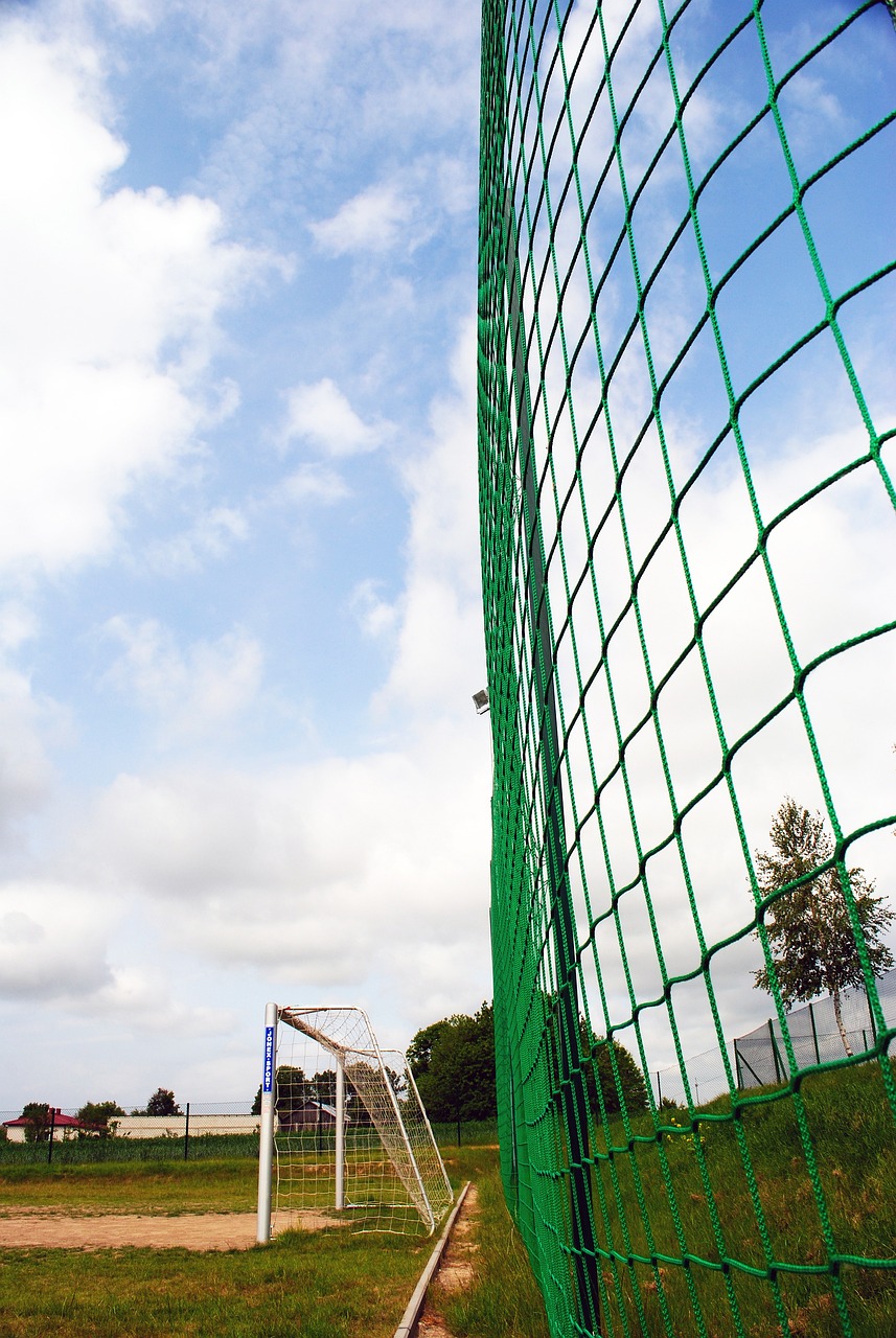 善的背景审 善的背景审