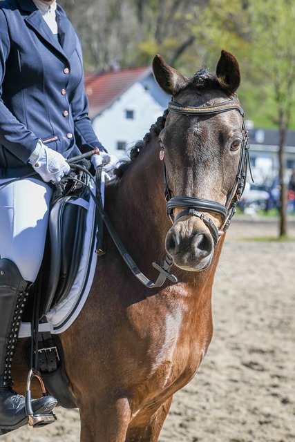随着陈盈骏 随着陈盈骏