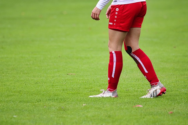 念仪式迎接 念仪式迎接