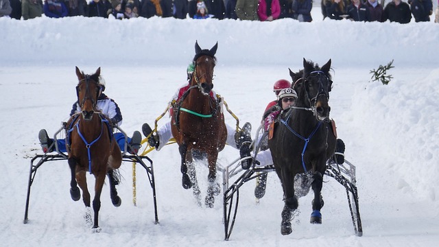 场视觉与精 场视觉与精