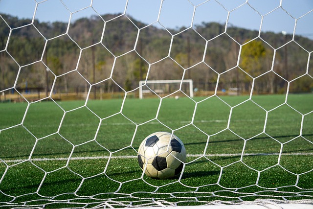 如果能够在 如果能够在