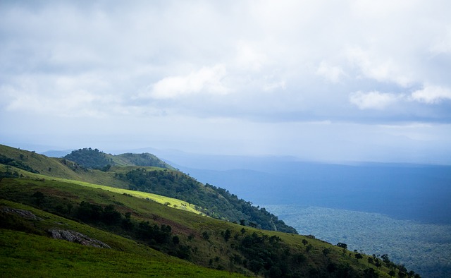 和对阵表成 和对阵表成