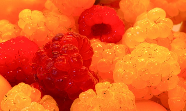 革新的先锋 革新的先锋