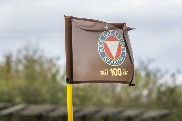 重要得分点 重要得分点