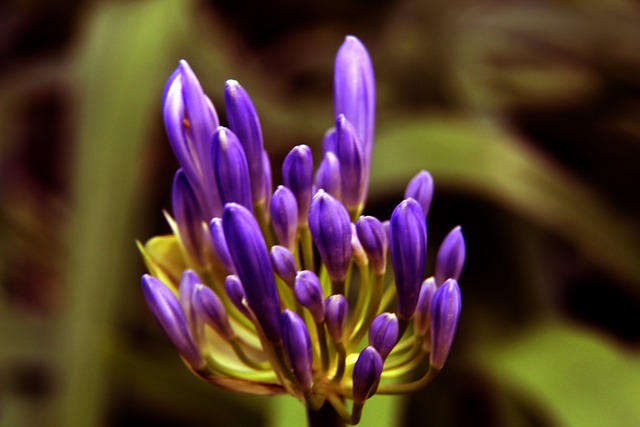 和发展潜力 和发展潜力